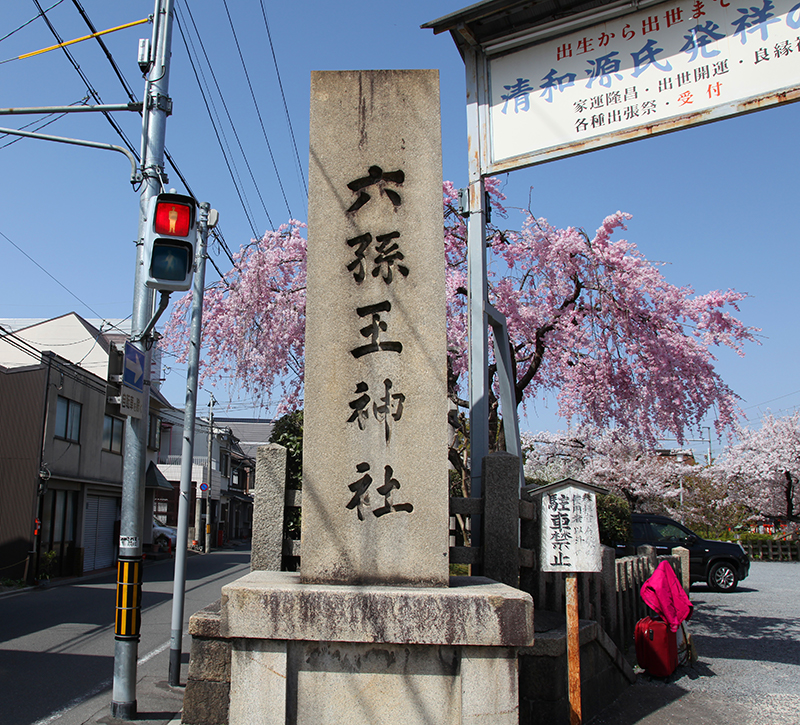 讀書人的旅遊log Book 芥川龍之介私藏的絕美八重櫻