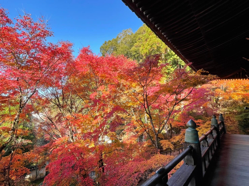 京都名勝 清水寺不只一間 寺廟撞名是跟風還是巧合 日本三大清水寺介紹